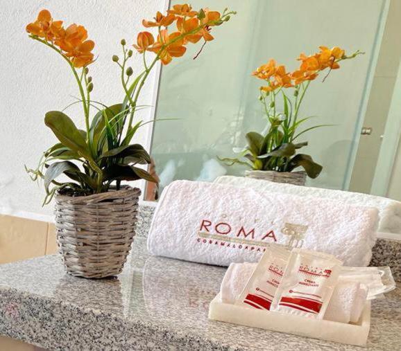 Hotel Roma Cosamaloapan de Carpio Eksteriør billede